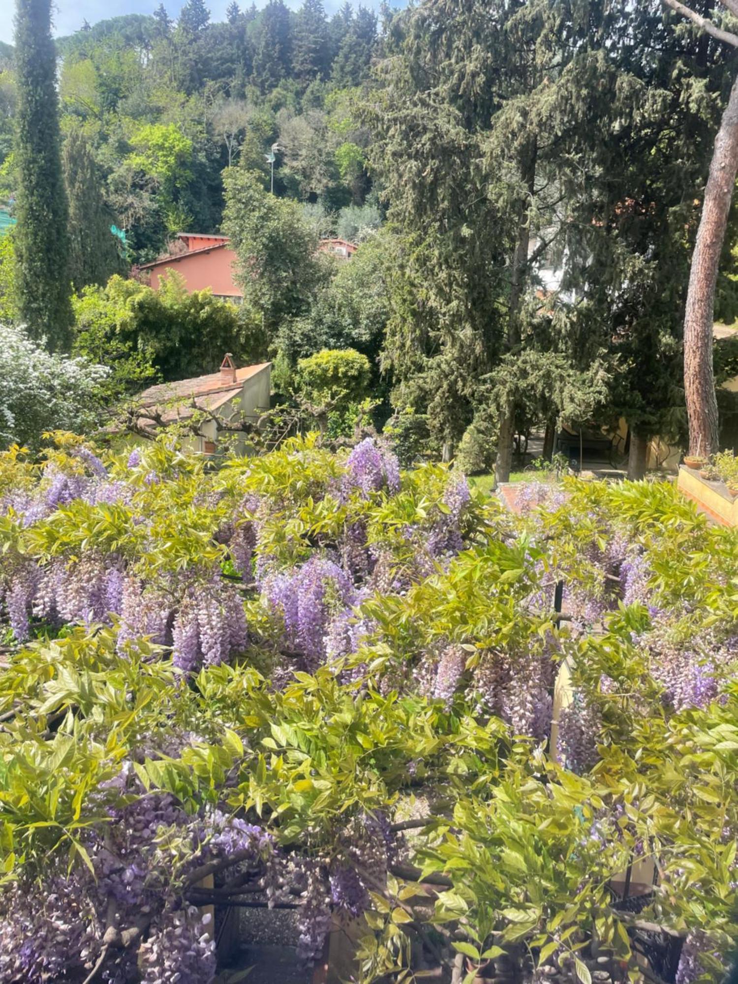Albero Mago Otel Floransa Dış mekan fotoğraf